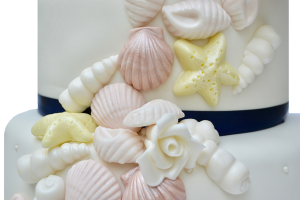 Seashell and white roses cake for a wedding, engagement or shower. Seashell fondant by Sugar Street Boutique Toronto