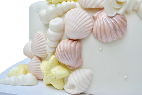 Seashell and white roses cake for a wedding, engagement or shower. Seashell fondant by Sugar Street Boutique Toronto