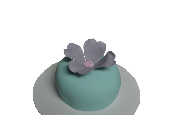 Mini cakes, individually sized, red velvet mini cake, chocolate mini cake, lemon mini cake and vanilla mini cake decorated with edible flowers, small icing rosettes with spring colours by Sugar Street Boutique
